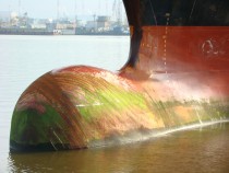 COSCON, Hanjin Shipping и Yang Ming в мае откроют контейнерный сервис между Гамбургом, Петербургом и Коткой